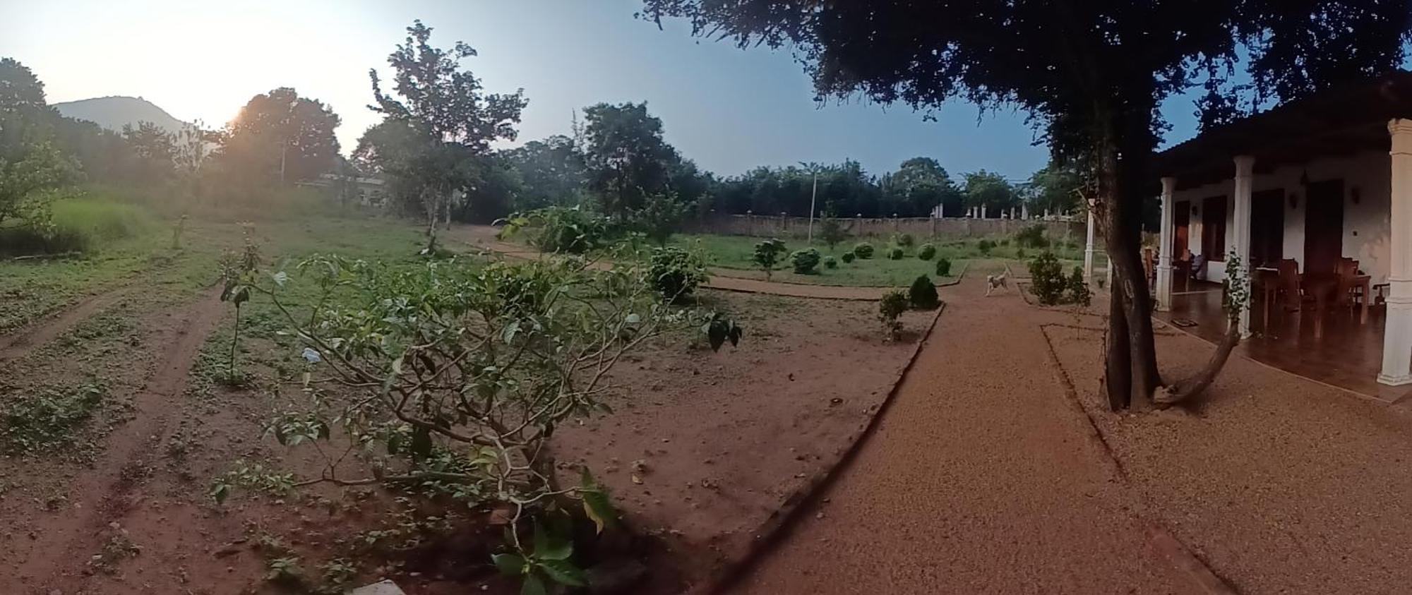 Sigiri Arana Sigiriya Otel Dış mekan fotoğraf