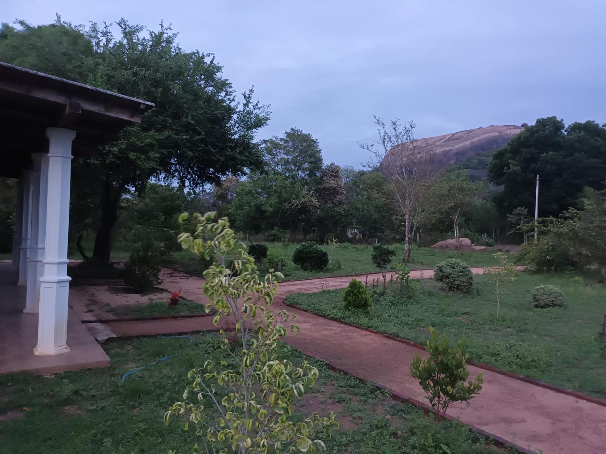Sigiri Arana Sigiriya Otel Dış mekan fotoğraf