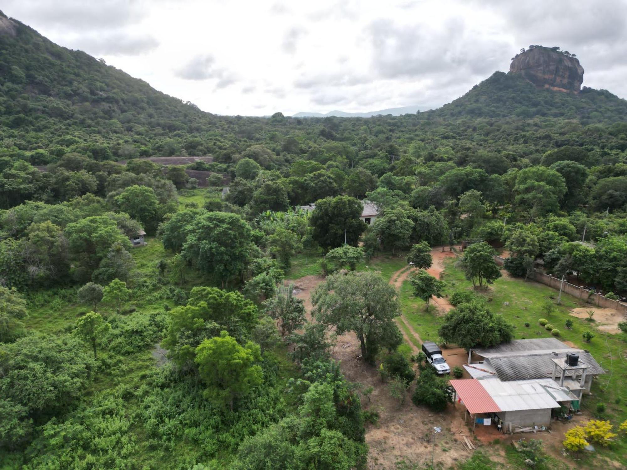 Sigiri Arana Sigiriya Otel Dış mekan fotoğraf