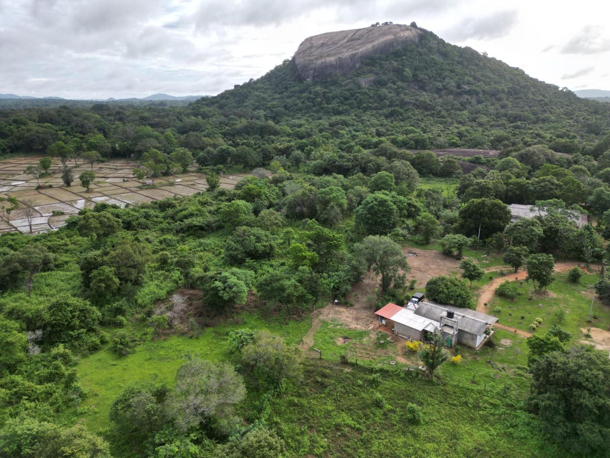 Sigiri Arana Sigiriya Otel Dış mekan fotoğraf
