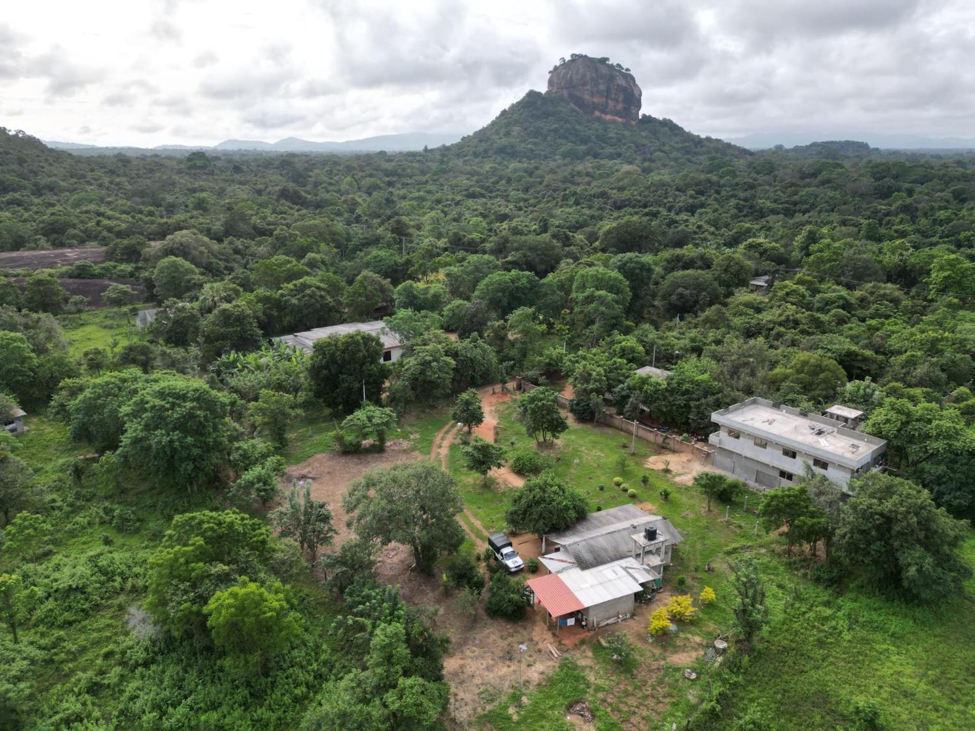Sigiri Arana Sigiriya Otel Dış mekan fotoğraf