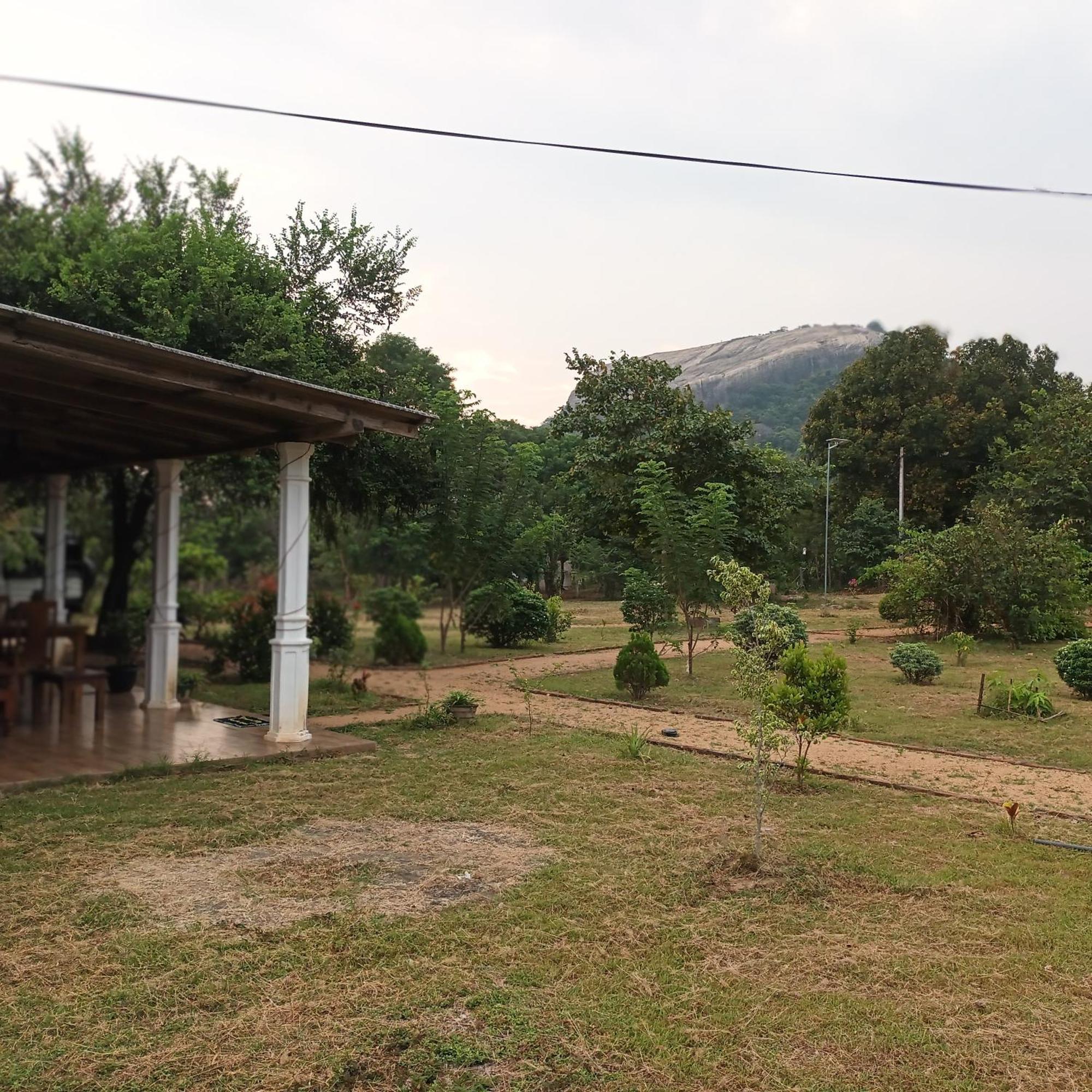 Sigiri Arana Sigiriya Otel Dış mekan fotoğraf